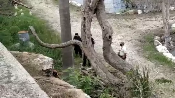 Bomberos realizaron el operativo de rescate desde una altura de ocho metros