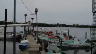 Generalmente, cada cooperativa trata directamente con los compradores. Ahora tiene ventaja la única que tramitó su certificado de la Cofepris, y puede exportar