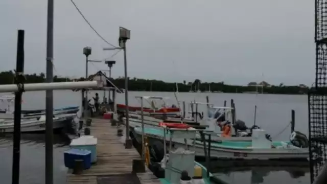 Generalmente, cada cooperativa trata directamente con los compradores. Ahora tiene ventaja la única que tramitó su certificado de la Cofepris, y puede exportar