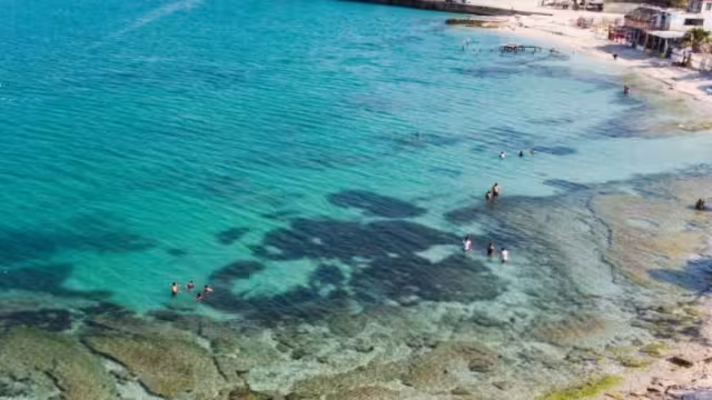 En el lugar también se pueden apreciar algunos delfines que regalan un espectáculo a los bañistas