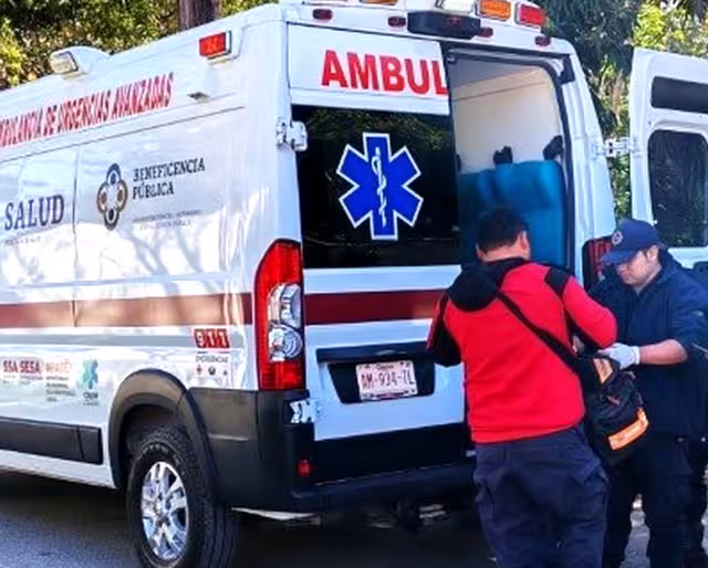 Dos productores fueron hospitalizados en José María Morelos tras sufrir ataques de abejas.