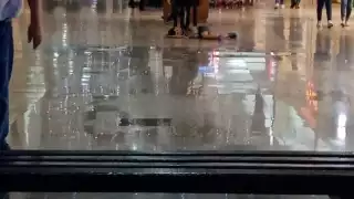 Al ser fabricadas con materiales sintéticos, las prendas suelen estar en la basura unos meses después de ser adquiridas.