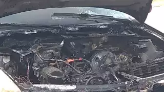 Los vecinos del lugar se sorprendieron de lo que estaba ocurriendo en ese instante