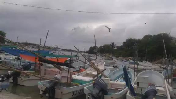El puerto de altura de progreso está laborando con la descarga de cuatro embarcaciones. Foto: Julio Jiménez Mendoza El puerto de altura de progreso está laborando con la descarga de cuatro embarcaciones. Foto: Julio Jiménez Mendoza
