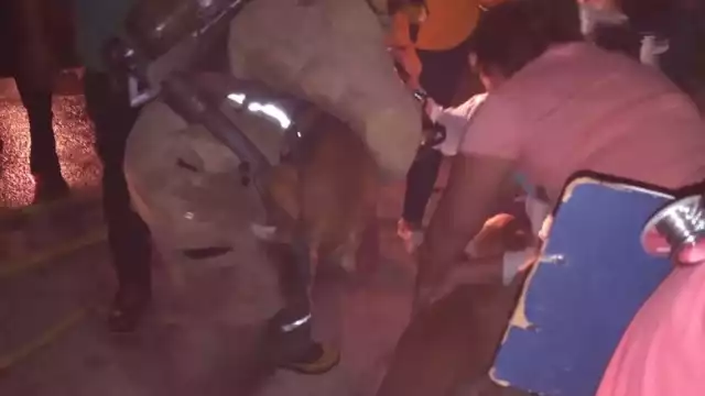 Los bomberos de Chetumal lograron salvar con vida a una familia y a su mascota del incendio de su vivienda