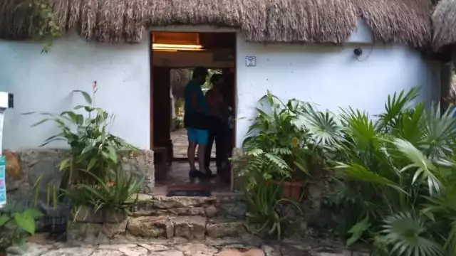 Foto: José Daniel Quintal Arjona.