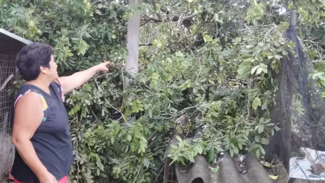 Los trabajadores del departamento de Protección Civil se dieron de baja por falta del pago de sueldos correspondientes