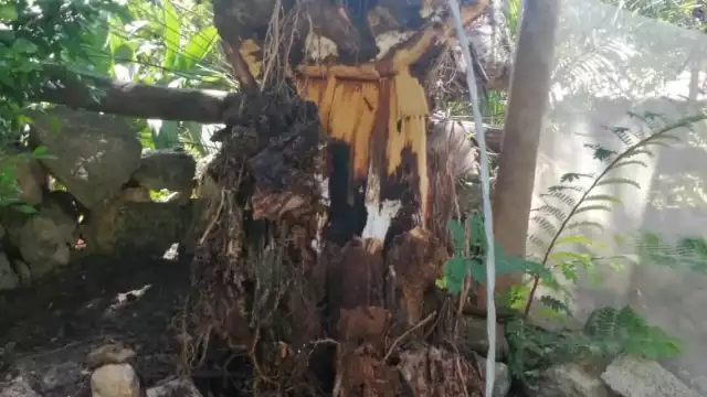 FOTOS: Justino Xiu Chan