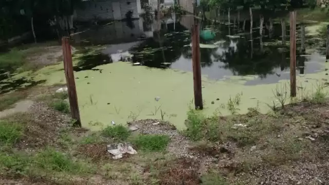 FOTOS: Fernando Kantún