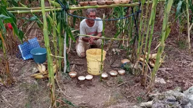 Foto:  Efraín Valencia