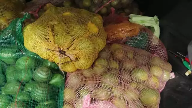 Foto: Fernando Kantún