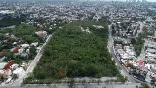 Asociación solicita amparo contra remodelación del Ombligo Verde en Cancún