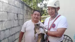 Rescatan a un gato tras caer dentro de un pozo de 23 metros de profundidad en Tizimín