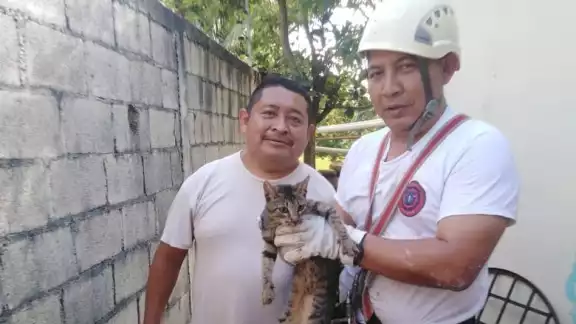 Protección Civil de Tizimín rescató al gato dentro del pozo