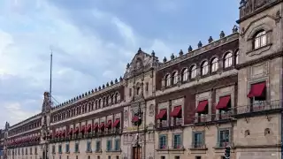 Los gatos mantienen una dieta especializada y cuidados extremos en Palacio Nacional
