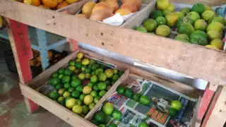El precio del limón persa aumentó en una década, pasó de 6.54 pesos a 47.87 pesos