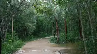 Inundaciones provocadas por lluvias bloquean acceso a Felipe Carrillo Puerto