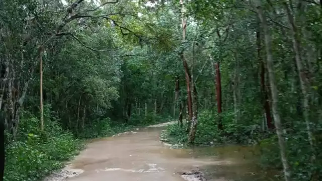 Por la acumulación de agua y lodo en el camino, esta vía se ha vuelto intransitable