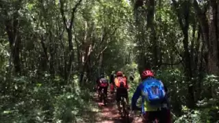 El recorrido en bicicleta será una aventura por la selva maya de Tihosuco”