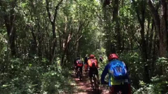 El recorrido en bicicleta será una aventura por la selva maya de Tihosuco” El recorrido en bicicleta será una aventura por la selva maya de Tihosuco”