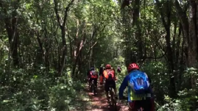 El recorrido en bicicleta será una aventura por la selva maya de Tihosuco”