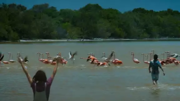 La fotógrafa se dice sentir muy afectada por la situación que se muestra en la escena La fotógrafa se dice sentir muy afectada por la situación que se muestra en la escena