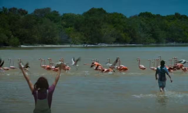 La fotógrafa se dice sentir muy afectada por la situación que se muestra en la escena