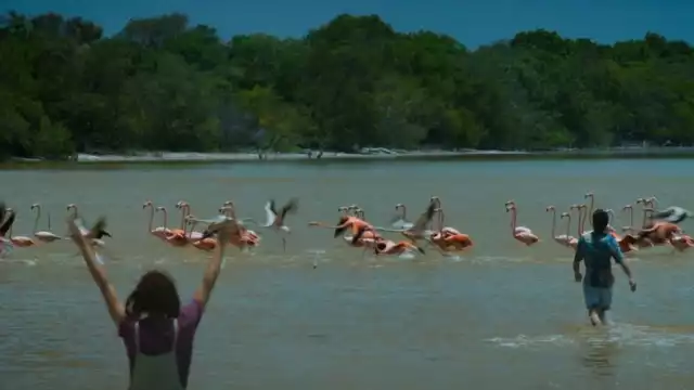 La fotógrafa se dice sentir muy afectada por la situación que se muestra en la escena