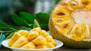 La Yaca es un fruto originario de la India, pero abunda en la Península de Yucatán