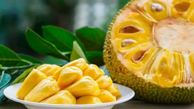 La Yaca es un fruto originario de la India, pero abunda en la Península de Yucatán