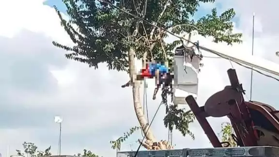 El empleado chocó su machete contra los cables de alta tensión que se encontraban cerca del árbol El empleado chocó su machete contra los cables de alta tensión que se encontraban cerca del árbol