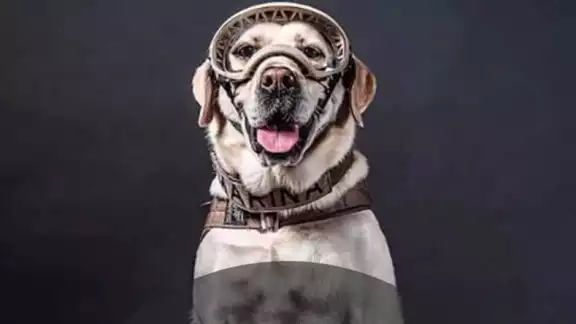 Frida se dedicará a colaborar con el entrenamiento de los nuevos elementos caninos