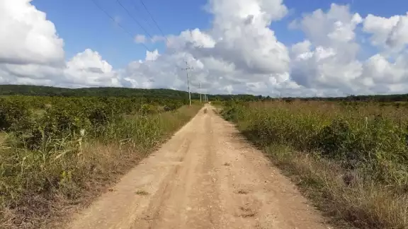 Habitantes del municipio desde hace 20 años han solicitado una vía que los conecte con el vecino Estado
