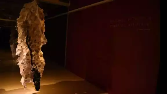 Cerámica, papel, bordados, el mundo orgánico y microscópico, madera, vidrio, papel, acuarela, barro y engobe Cerámica, papel, bordados, el mundo orgánico y microscópico, madera, vidrio, papel, acuarela, barro y engobe