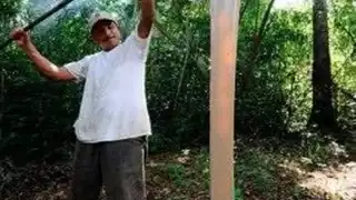 La manera artesanal y todo lo que implica extraer la resina no tiene un precio que sea redituable