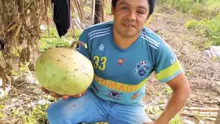 Agricultor busca rescatar la planta del 'lek' en Chapab, Yucatán