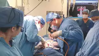 Reactivan programa de donación y transplantes de órganos en Yucatán