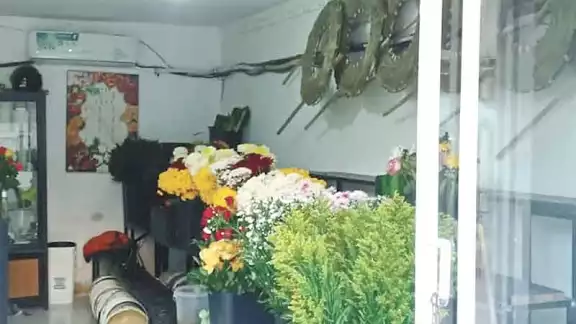 Las ventas de flores cayeron hasta un 50% durante los festejos a los Fieles Difuntos.