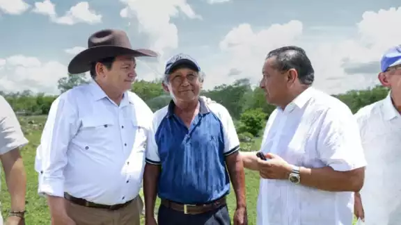 Sistemas de riego solar fortalecen producción agrícola en Motul Sistemas de riego solar fortalecen producción agrícola en Motul