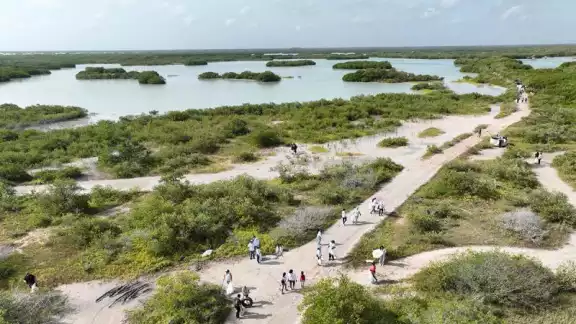 Gobierno y sociedad civil suman esfuerzos por los manglares de Yucatán Gobierno y sociedad civil suman esfuerzos por los manglares de Yucatán