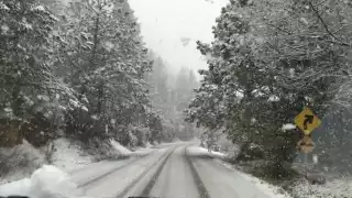 Por efecto de la primera tormenta invernal la temperatura mínima es de 8.9 grados