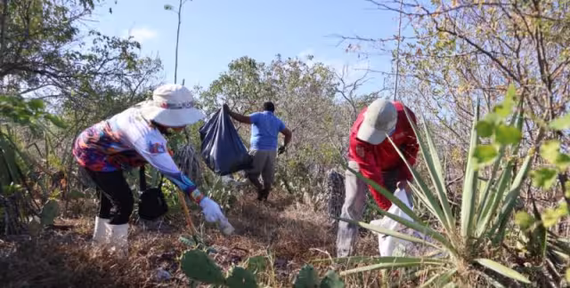 Manglares y fauna, prioridad en limpieza de la Reserva de la Biosfera Ría Celestún