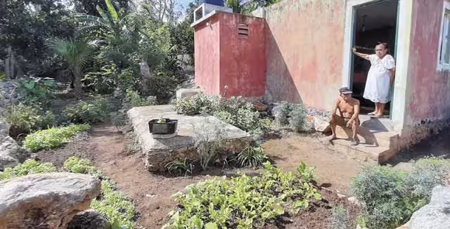 Llevan más de 30 años sembrando rábano y cilantro