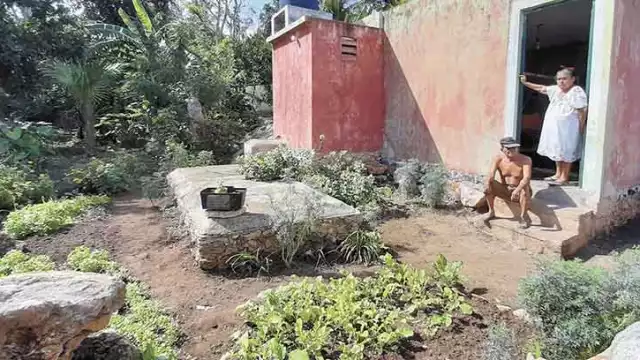 Llevan más de 30 años sembrando rábano y cilantro