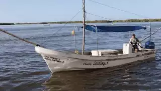 Amplían la cuota de captura de pulpo en Yucatán de 28 a 32 mil toneladas