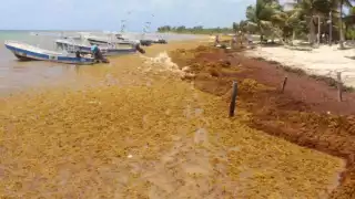 Foto: Pedro Hernández