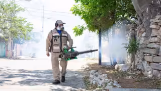 Yucatán suma 12 casos de dengue en 2026 tras nuevo contagio confirmado en Mérida