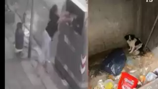 En Argentina una mujer tira a su perro a la basura