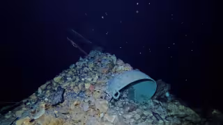 Bajo el ex Convento de San Bernardino de Siena, en Valladolid, 153 mosquetes y un cañón del siglo XIX yacen intactos