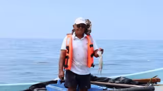 Pagos del programa Respeto la Veda en Yucatán subirá a 6 mil pesos en 2026; iniciará la entrega en febrero